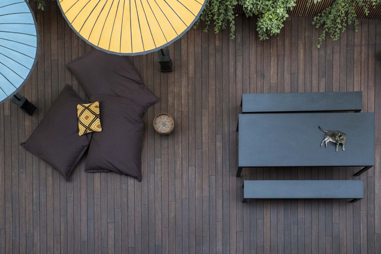 mg2architetture_Interior with garden_22